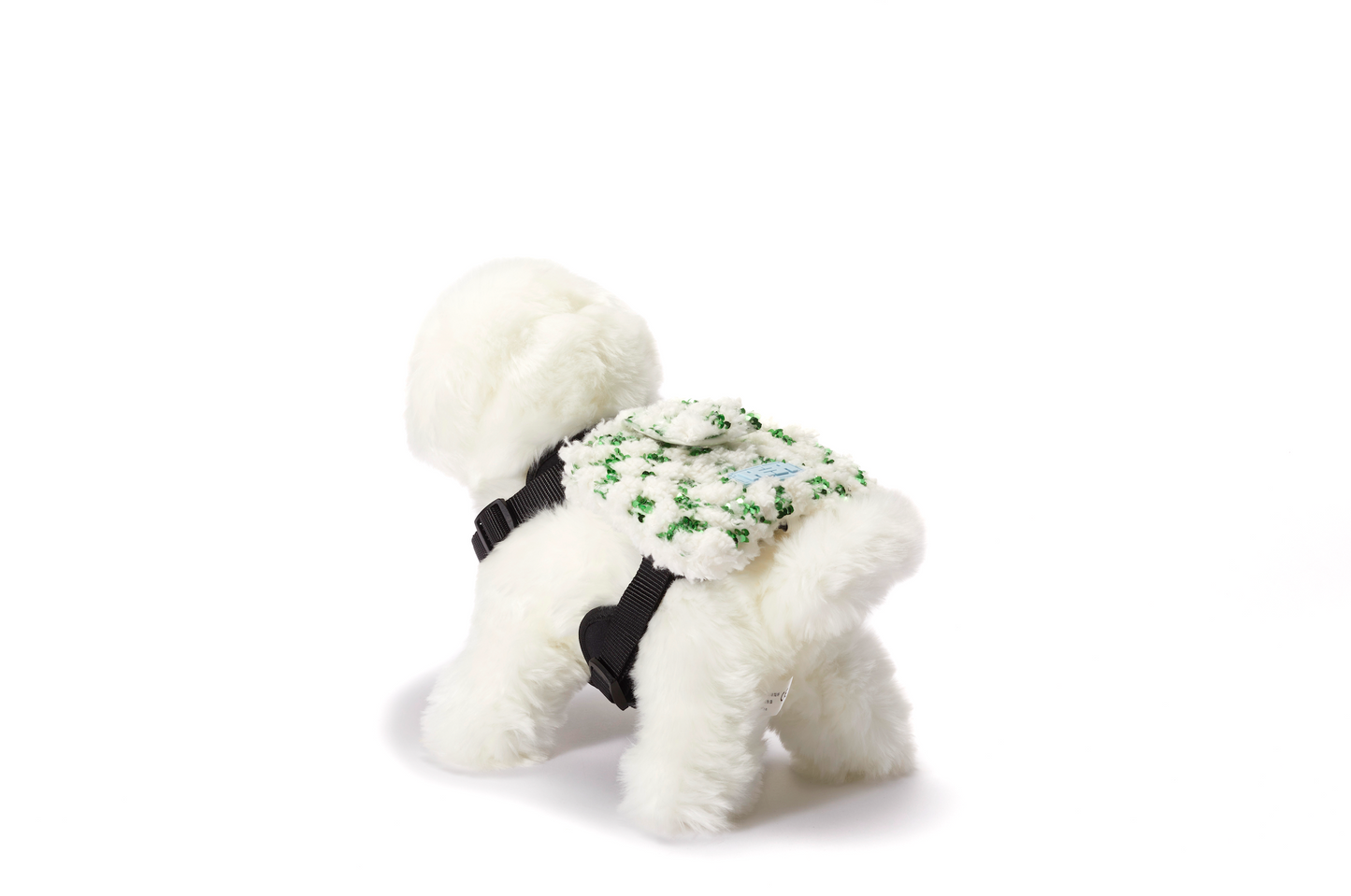 Pet's Backpack